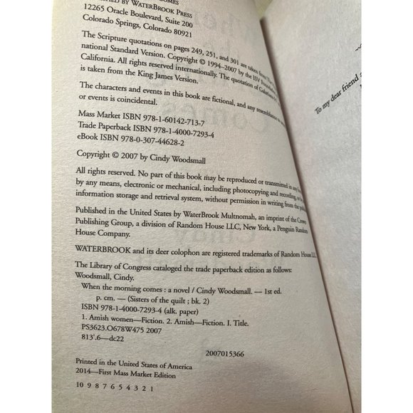 When the Morning Comes: Book 2 in the Sisters of the Quilt Amish Series - Picture 4 of 8